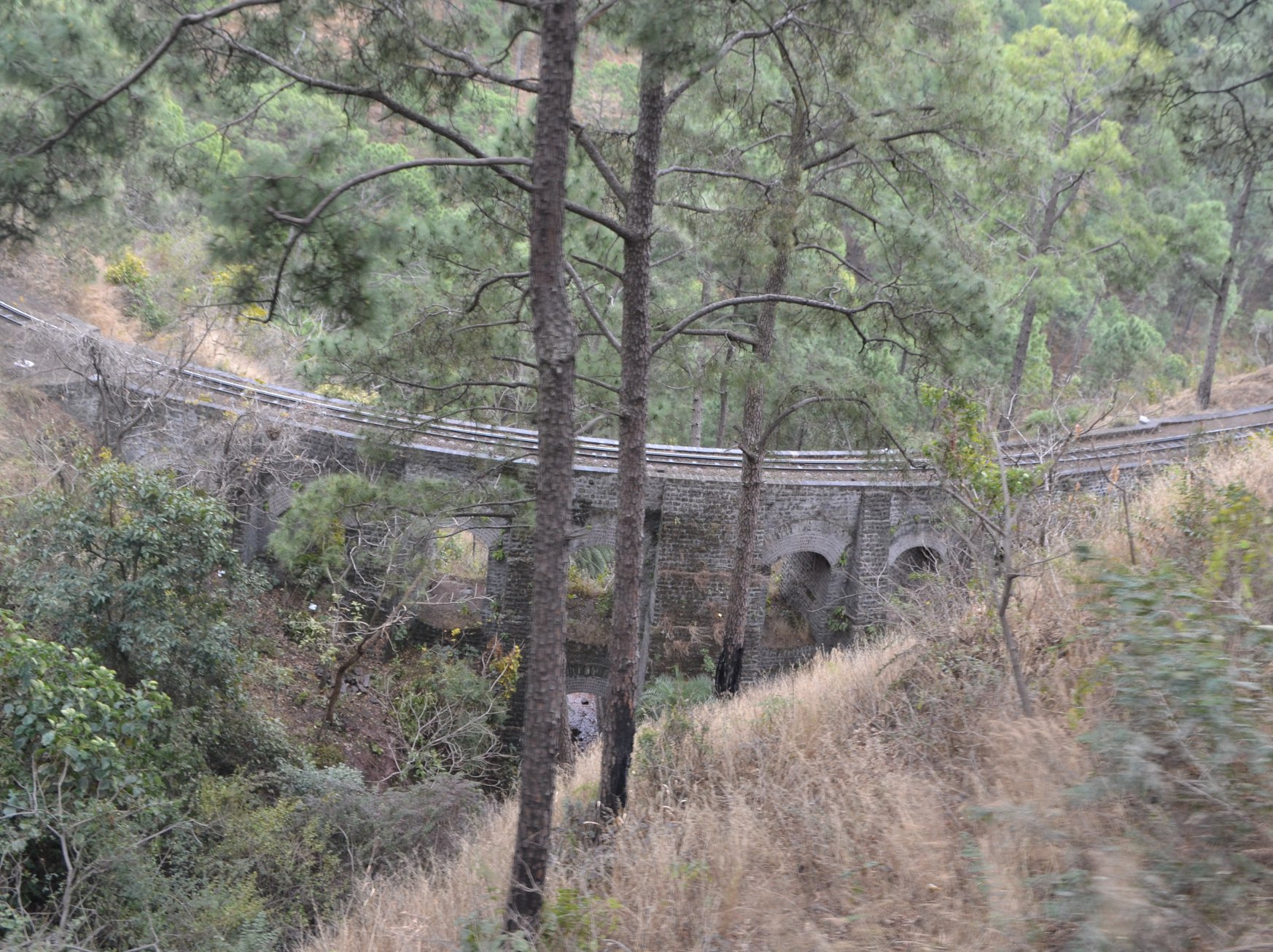 Bridge