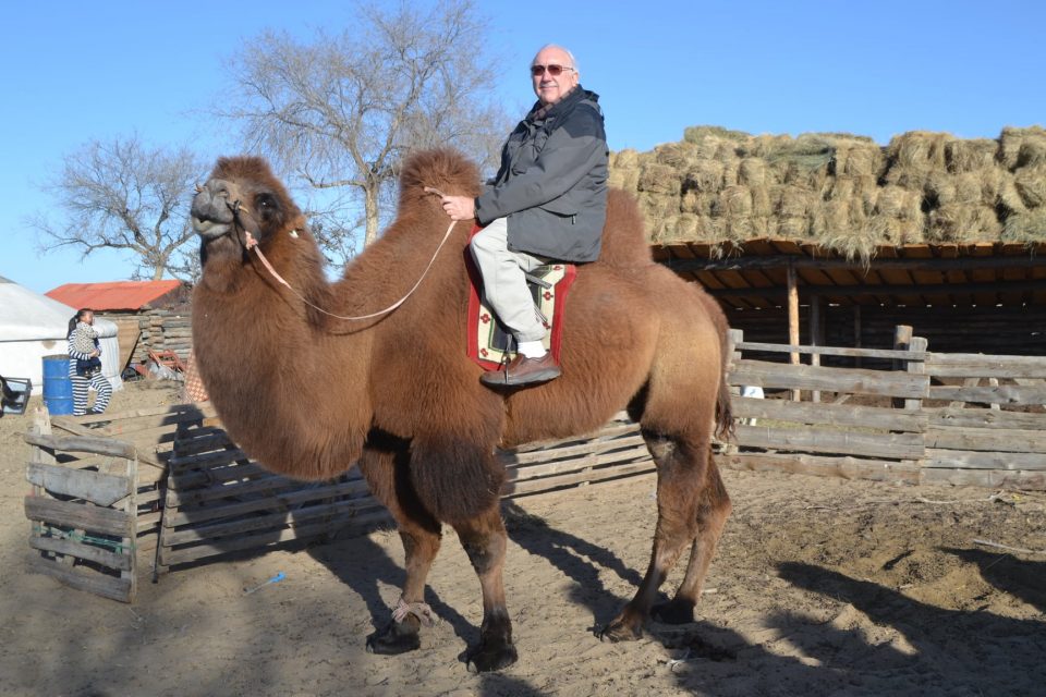Dromedary-Frank-e1613976245534